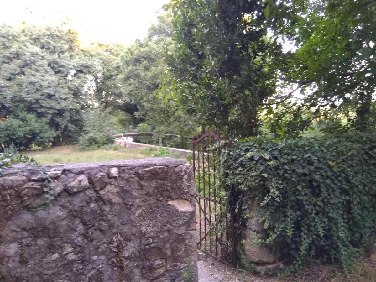 벤코바츠 Jankovich Castle 아파트 외부 사진
