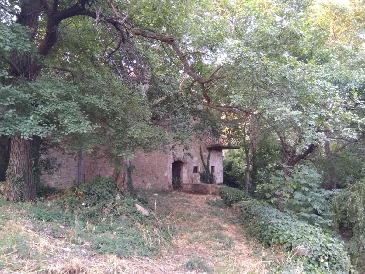 벤코바츠 Jankovich Castle 아파트 외부 사진